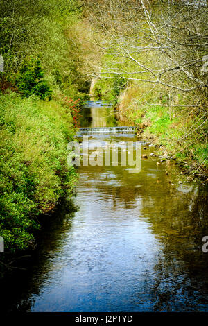 The Lyne Water in the village of West Linton, Scottish Borders Stock Photo