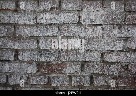 Brick masonry old. Covered with lime. abandoned building. Photo for your design. Stock Photo