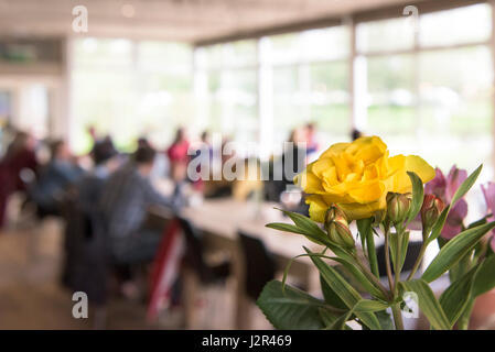 Restaurant interior Flower Yellow Rose Bloom Table decorations Decorated Pretty Colourful Colorful Stock Photo