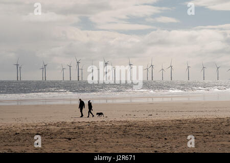 A couple walking a dog on Seaton Carew beach with Redcar wind farm behind, Hartlepool, England, UK Stock Photo