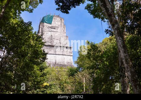 Rich vegetation and the top of the Temple IV - the highest pyramid in Tikal National Park and Maya archaeological site, Guatemala Stock Photo