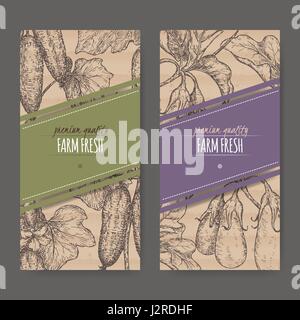 Two labels with fresh cucumbers and eggplants on cardboard texture. Stock Vector