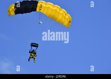 Jack Turner, a Civilian Aide to the Secretary of the Army, and Staff Sgt. Ken Severin, a member of the Army’s Golden Knights parachute demonstration team, after freefalling for approximately 8,500 feet deployed their parachute and near the ground. Turner was invited by leadership at Fort Campbell to the event hosted by the Nashville recruiting battalion, which raises awareness about the Army and its efforts to accomplish one of the most challenging recruiting missions in its long history. Stock Photo