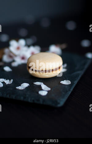 Single macaroon with chocolate cream decorated with white pebbles Stock Photo