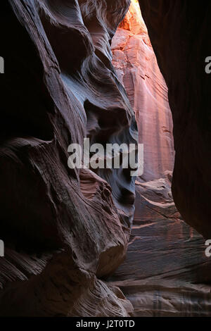 The beauty of Buckskin Gulch, located in southern Utah, it is one of the longest slot canyons in the world. Stock Photo