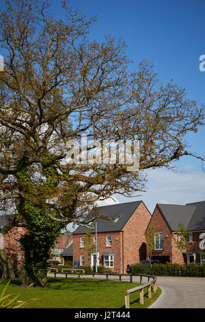 DAVID WILSON HOMES  Bollin Park site in Wilmslow in Cheshire, England, Stock Photo