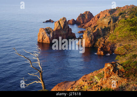 First light of the day on the red volcanic rock of the Esterel Massif. Cap du Dramont, Saint-Raphaël, Var, French Riviera, France. Stock Photo