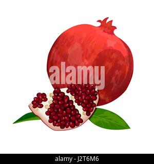 Ripe red pomegranate and slices isolated on white. Whole, slices and skinned Stock Vector