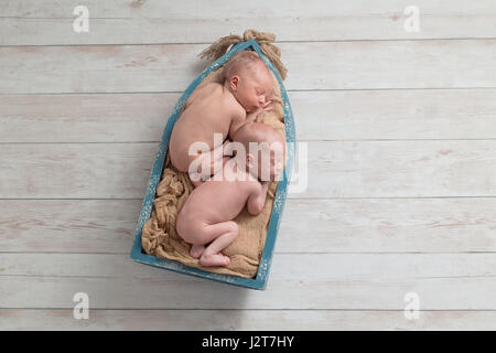 Six day old fraternal, twin, newborn, baby boys sleeping in a tiny, wooden boat. Shot in the studio on a wood background. Stock Photo