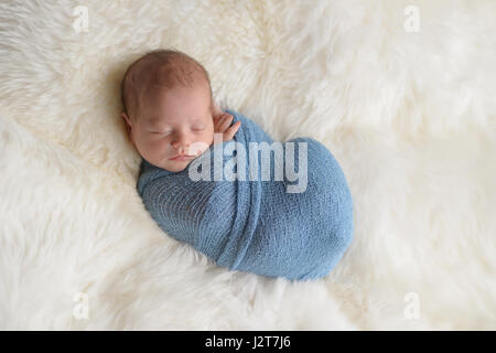 Sleeping, nine day old newborn baby boy swaddled in a light blue wrap. Shot in the studio on a white sheepskin rug. Stock Photo