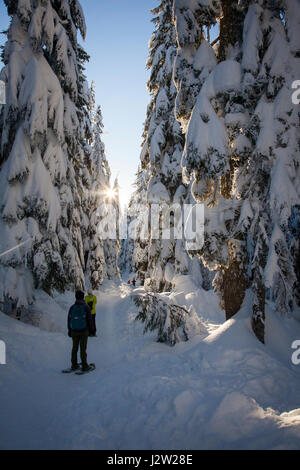 People snowshoeing in between snow-covered trees on Mount Seymour Provincial Park in North Vancouver, British Columbia, Canada. Stock Photo