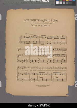 Bob White - Quail song (NYPL Hades-1930454-1991616 Stock Photo - Alamy