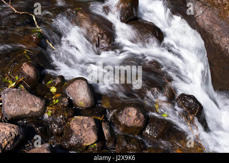 Quick Mountain river with small stones of different sizes of round shape, planed a rapid stream of water running down, like a waterfall, with foam and Stock Photo