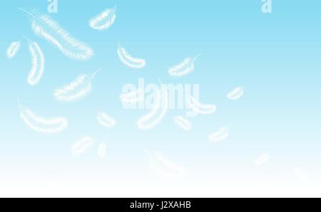 Delicate blue background with white bird feathers. Stock Vector