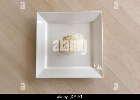 A very fresh goose egg on a plate Unwashed Large egg Shell Natural Nature Minimalist image Stock Photo