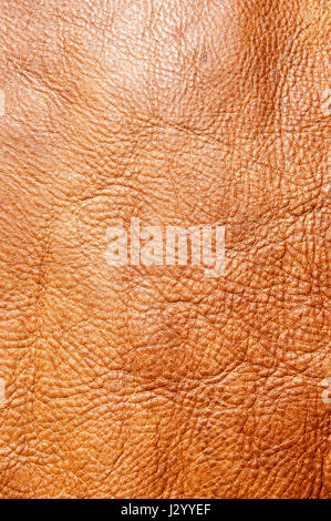 Brown leather texture closeup. Useful as background Stock Photo