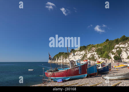 Fishing boats moored on the beach at Beer in Devon, UK on a summers morning with bright blue skies. Stock Photo