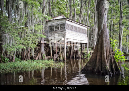 House on stilts in a bayou in Louisiana Stock Photo - Alamy