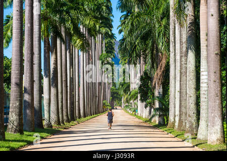 RIO DE JANEIRO - FEBRUARY 21, 2017: Lone jogger runs along the dirt avenue of royal palms in the Jardim Botanico (Botanic Gardens). Stock Photo