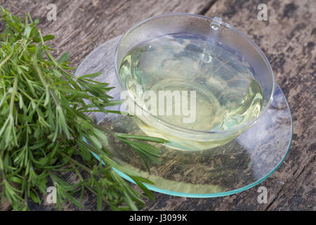 Klettenlabkraut-Tee, Tee, Kräutertee, Heiltee aus Kletten-Labkraut, Klett-Labkraut, Klettenlabkraut, Klebkraut, Klettkraut, Klette, Galium aparine, Cl Stock Photo