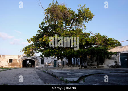 Inner courtyard of the 17th century Fort of Sao Joao Batista (St. John Baptist) in Ibo island one of the islands in Quirimbas archipelago in the Indian Ocean off northern Mozambique Africa. The fort, built in 1791 was a major conduit for slaves sold to the French sugar plantations on Mauritius and beyond. Stock Photo