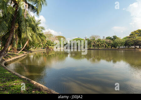 View of palm trees and lake at the Lumpini (Lumphini) Park in Bangkok, Thailand. Stock Photo