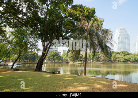 View of lawn, trees and lake at the Lumpini (Lumphini) Park in Bangkok, Thailand. Stock Photo