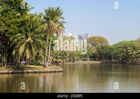 View of palm trees and lake at the Lumpini (Lumphini) Park in Bangkok, Thailand. Stock Photo