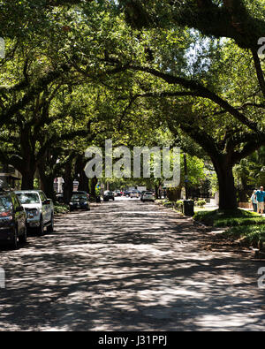 Louisiana, USA. 1st May, 2017. Sunny in Louisiana. Weather. New Orleans, Louisiana, USA. Brent Clark/Alamy Live News Stock Photo