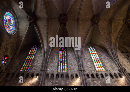 Gothic groin vault and stained glass windows of Girona Cathedral in Gerona, Catalonia, Spain Stock Photo