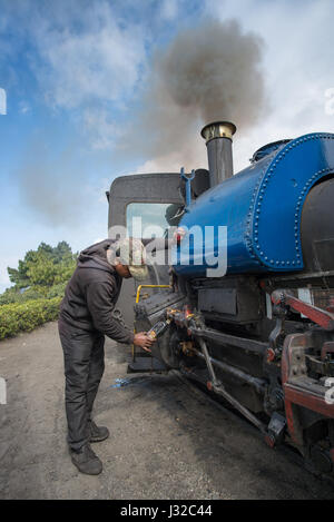 DARJEELING, INDIA – NOVEMBER 27, 2016: technician services the steam engine hauled DHR Toy Train used for joy ride tours as well as regular transport  Stock Photo