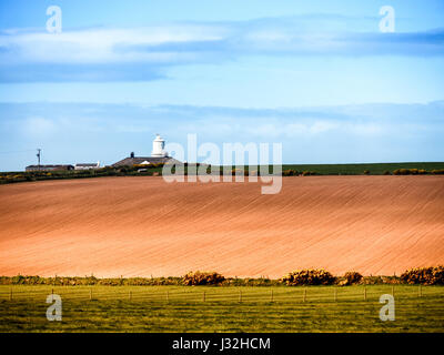 Agricultural fields with St Bees head lighthouse on the horizon Stock Photo