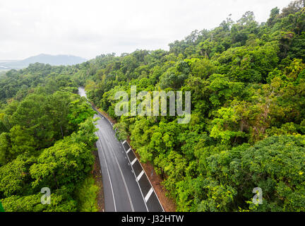 Road through pristine tropical rainforest seen from Skyrail, near Cairns, Far North Queensland, FNQ, QLD, Australia Stock Photo