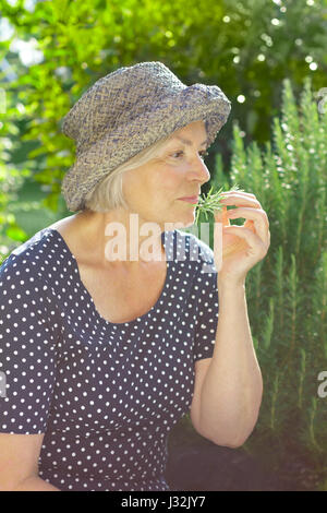 Senior woman in blue polka-dotted dress and straw hat sitting in her garden and enjoying the intense aroma of her home grown rosemary in summer sun Stock Photo