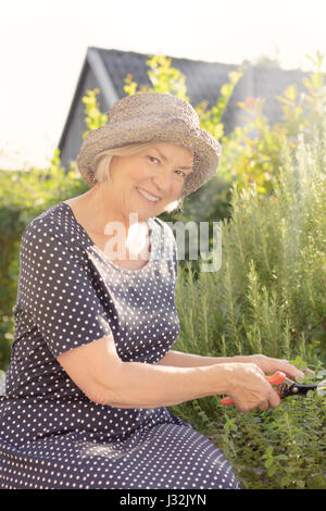 Smiling elderly lady in polka dotted dress and straw hat sitting in her garden yard cutting rosemary for her next meal on a sunny summer day Stock Photo