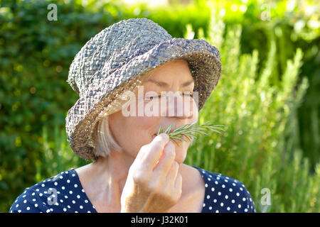 Senior woman with straw hat on a sunny summer afternoon in her garden enjoying the intense fragrance of her home grown rosemary Stock Photo