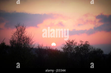 Sunset behind trees Stock Photo