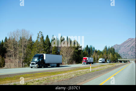 The chain of modern colorful semi trucks of different models and manufacturers with trailers moving cargo one after the other on the flat highway Stock Photo