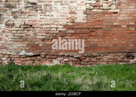 Red brick wall with grass close up Stock Photo