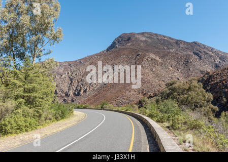 Burnt mountain side in the Tradouw Pass between Barrydale and Swellendam in the Western Cape Province Stock Photo