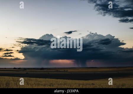 Distant storm at sunset over the crop fields of Castilla y León, Spain, with a lightnig Stock Photo