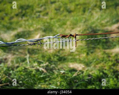 a close up detail new and old rusty barbed wired with grass background Stock Photo