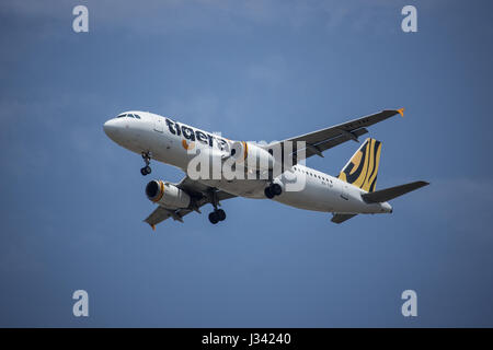 CHIANG MAI, THAILAND -APRIL 29 2017: 9V-TAF Airbus A320-200 of Tiger Air. Landing to Chiangmai airport from Singapore. Stock Photo