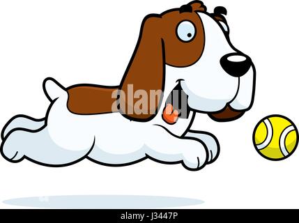 A cartoon illustration of a Basset Hound chasing a ball. Stock Vector