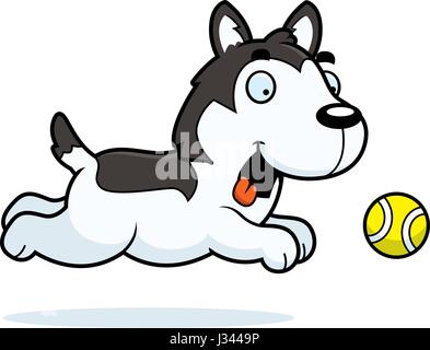 A cartoon illustration of a Husky chasing a ball. Stock Vector