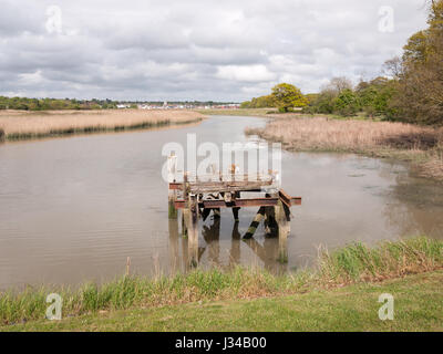 a decayed and old pontoon at the edge of a lake with reeds in the spring Stock Photo