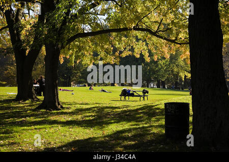 People picnicing on Mount Royal Park in autumn, Montreal, Quebec, Canada. Stock Photo