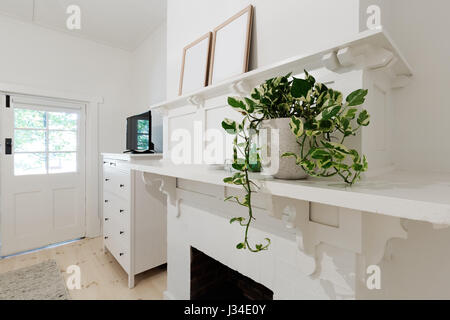 Close up of indoor pot plant in bedroom on a fireplace ledge Stock Photo