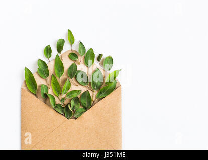 opened craft paper envelope filled with green leavess on white background. healthy lifestyle offer. Care about environment. Recycling and using trees and nature resources concept . top view. flat lay. Stock Photo