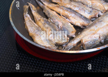 Partly nutritious sea fish capelin stacked in rows on a frying pan and stir-fried on an electric stove with a glass lid. Fried fish - a delicacy Stock Photo